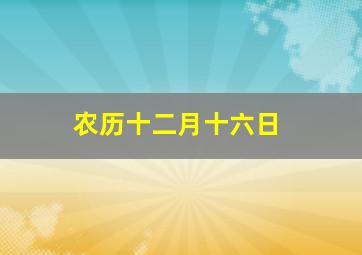 农历十二月十六日