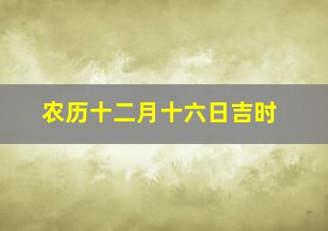 农历十二月十六日吉时