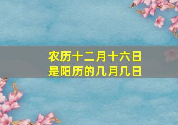 农历十二月十六日是阳历的几月几日