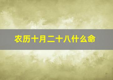 农历十月二十八什么命