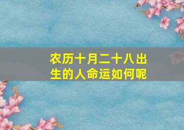 农历十月二十八出生的人命运如何呢