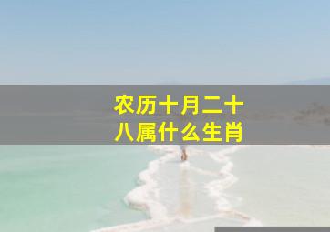 农历十月二十八属什么生肖