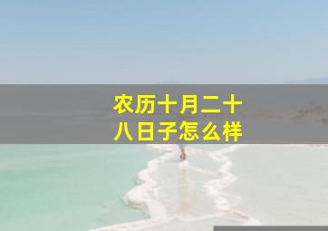 农历十月二十八日子怎么样