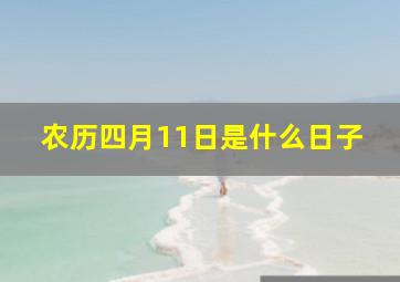 农历四月11日是什么日子