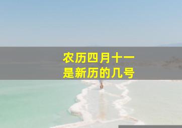 农历四月十一是新历的几号