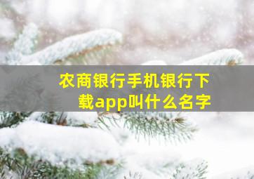 农商银行手机银行下载app叫什么名字