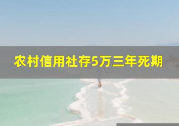 农村信用社存5万三年死期