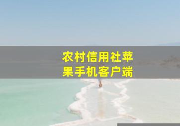 农村信用社苹果手机客户端