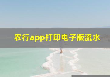 农行app打印电子版流水