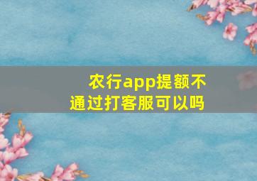 农行app提额不通过打客服可以吗