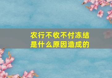 农行不收不付冻结是什么原因造成的