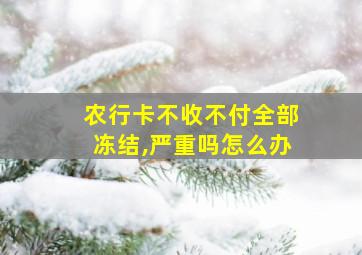 农行卡不收不付全部冻结,严重吗怎么办