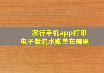 农行手机app打印电子版流水账单在哪里