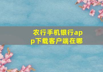 农行手机银行app下载客户端在哪