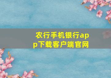 农行手机银行app下载客户端官网