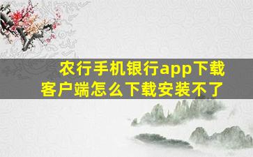 农行手机银行app下载客户端怎么下载安装不了