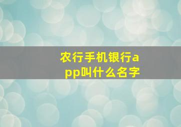 农行手机银行app叫什么名字