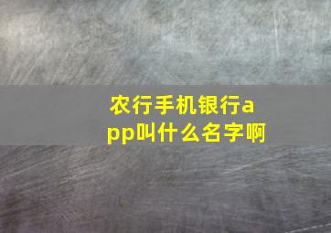 农行手机银行app叫什么名字啊