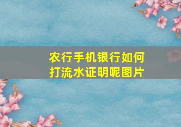 农行手机银行如何打流水证明呢图片