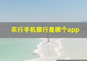 农行手机银行是哪个app