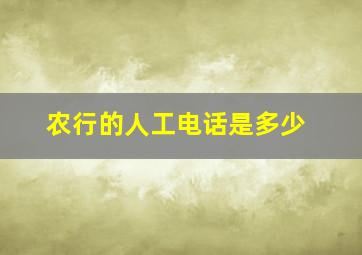 农行的人工电话是多少