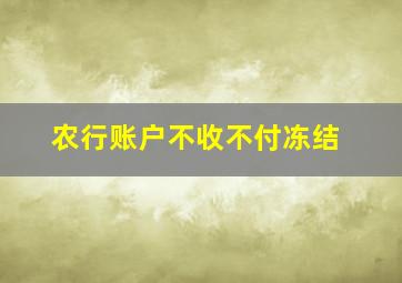 农行账户不收不付冻结