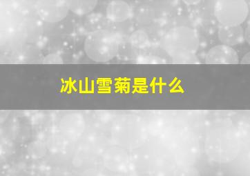 冰山雪菊是什么