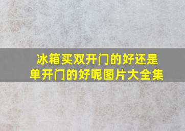 冰箱买双开门的好还是单开门的好呢图片大全集