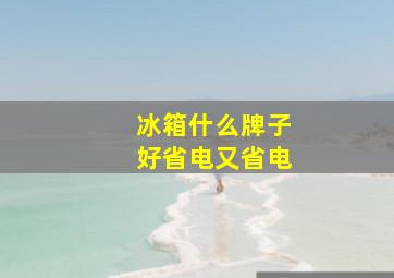 冰箱什么牌子好省电又省电