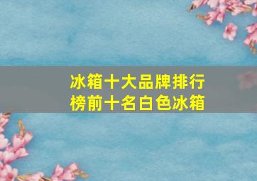 冰箱十大品牌排行榜前十名白色冰箱