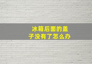 冰箱后面的盖子没有了怎么办