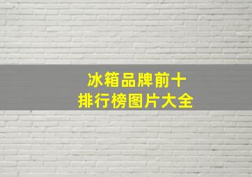 冰箱品牌前十排行榜图片大全