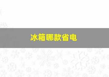 冰箱哪款省电