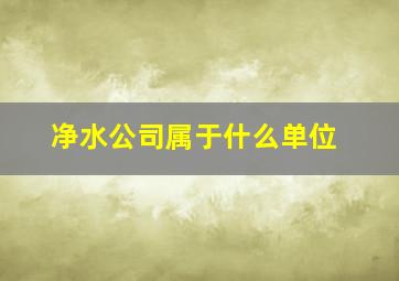 净水公司属于什么单位