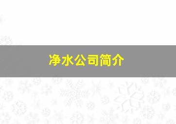 净水公司简介