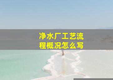 净水厂工艺流程概况怎么写