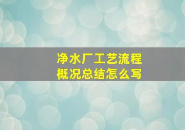 净水厂工艺流程概况总结怎么写