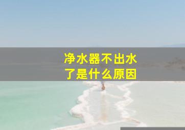 净水器不出水了是什么原因