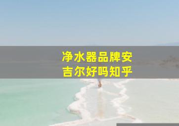 净水器品牌安吉尔好吗知乎