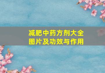 减肥中药方剂大全图片及功效与作用