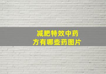 减肥特效中药方有哪些药图片