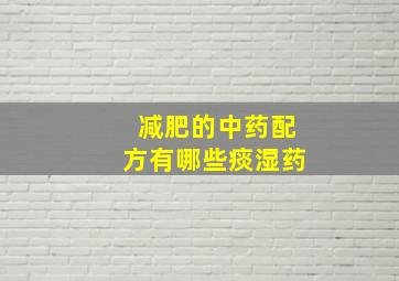 减肥的中药配方有哪些痰湿药