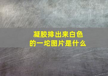 凝胶排出来白色的一坨图片是什么