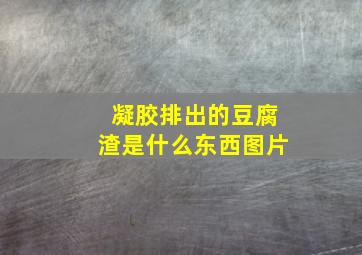 凝胶排出的豆腐渣是什么东西图片