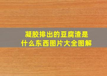 凝胶排出的豆腐渣是什么东西图片大全图解