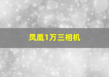 凤凰1万三相机