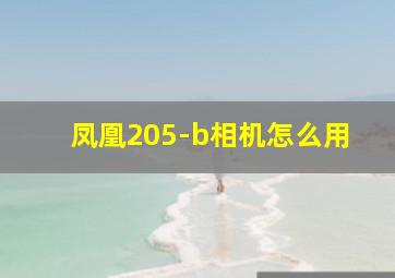 凤凰205-b相机怎么用