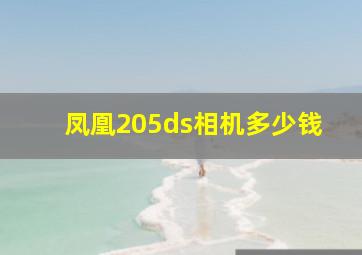 凤凰205ds相机多少钱