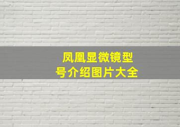 凤凰显微镜型号介绍图片大全