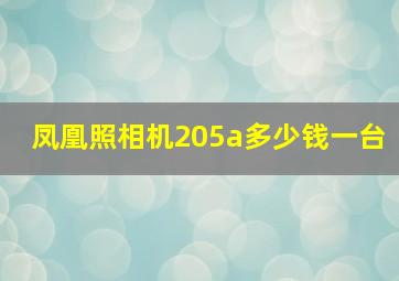 凤凰照相机205a多少钱一台